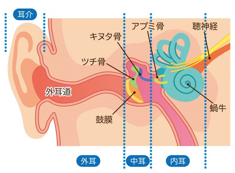 耳垢 栓塞 と は